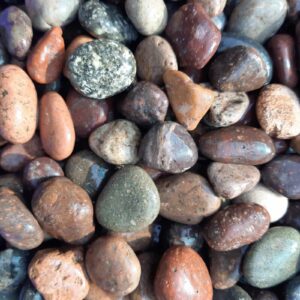 Tienda de jardinería y paisajismo en Maipú – Ciclo Natural