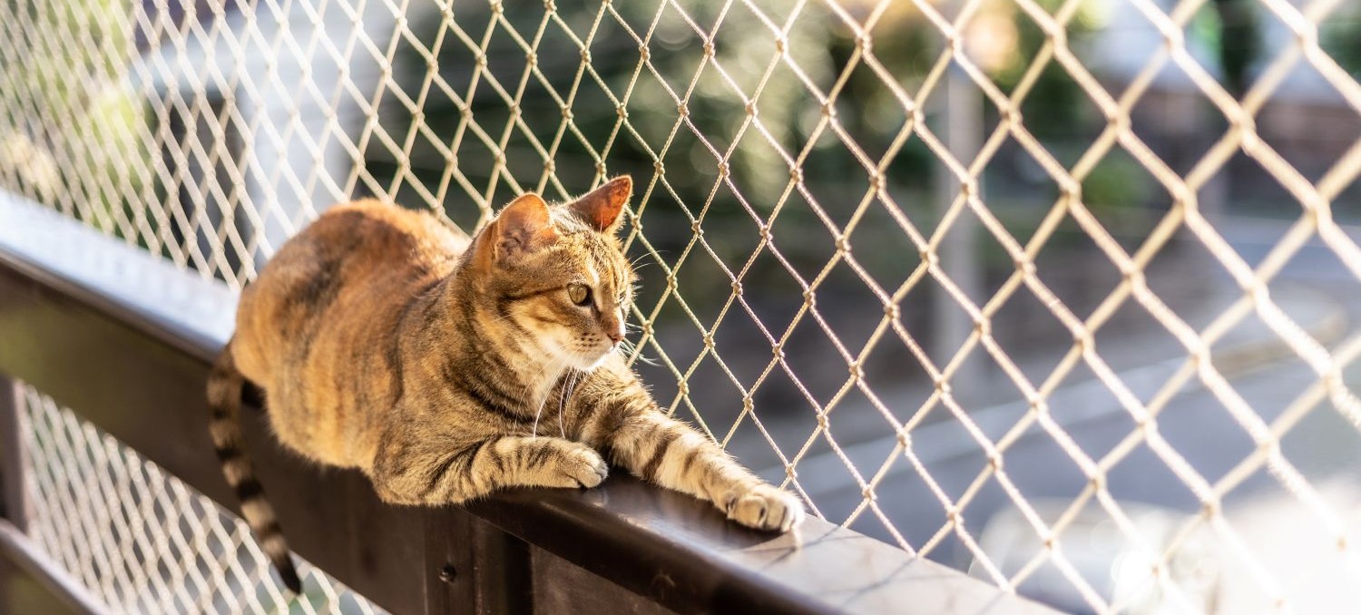 Protege tu hogar con mallas de seguridad, cortinas de madera Hanga Roa y cierres de terraza con vidrio. Encuentra instaladores en Maipú, La Florida, Ñuñoa, Providencia, Las Condes y La Reina en perfilcomercial.cl